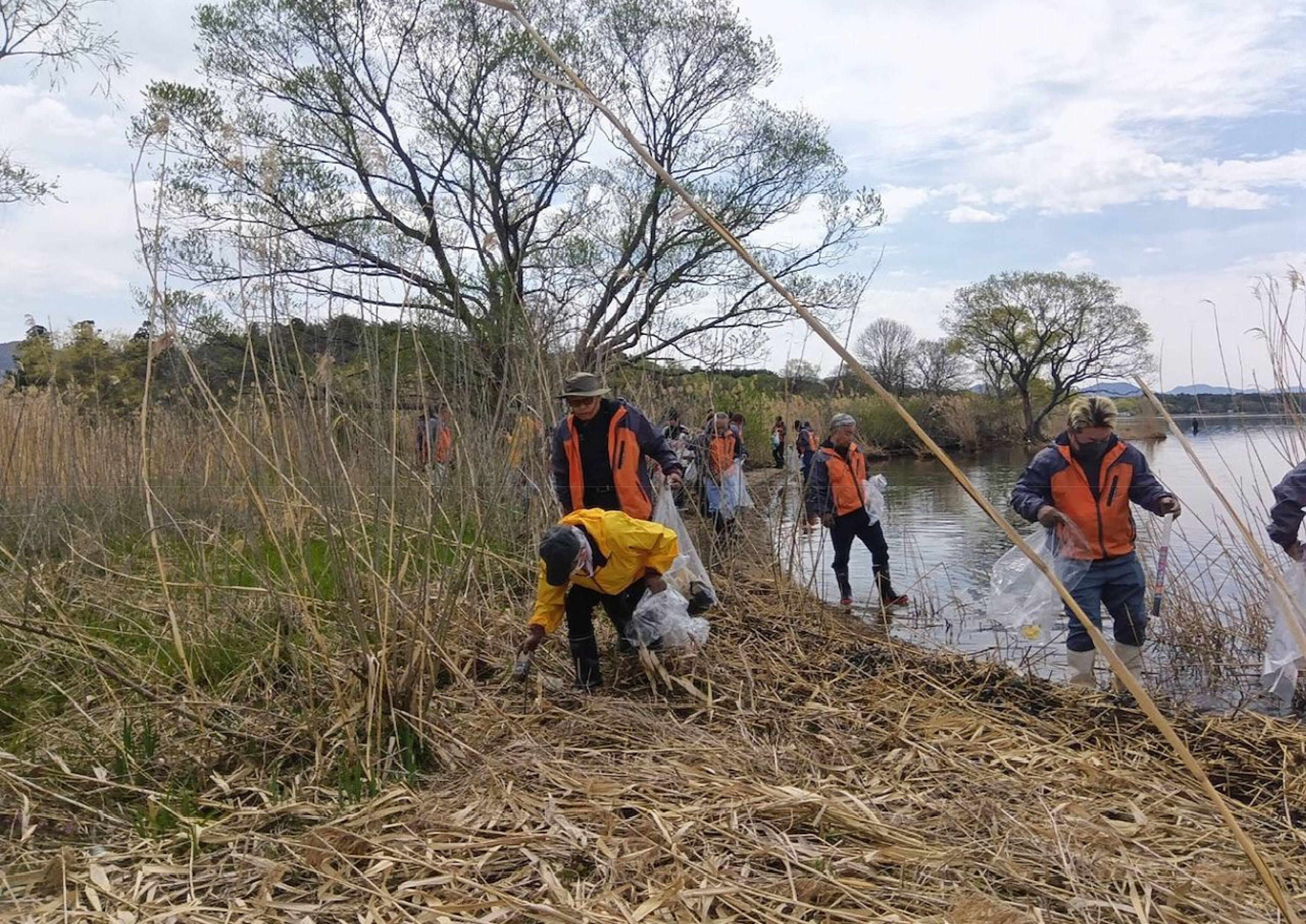 猪苗代湖クリーンアップ2026 写真-3.jpg