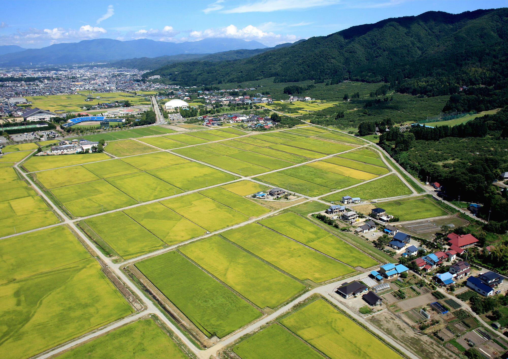 門田圃場整備.jpg